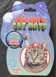 Holiday Cat Hats: Mistletoe Hat (new in box)
