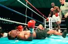 525904 BUSTER DOUGLAS KNOCKS OUT MIKE TYSON Boxing 1 24x18 WALL PRINT POSTER