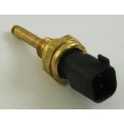 RAE Coolant Temperature Sensor - CS924