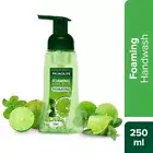 Palmolive Hydrating Foaming Lime & Mint Hand Wash Removes 99.9% Germs - 250ml