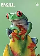 Frogs Calendar 2026