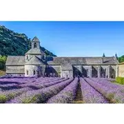 Save 19.54%! Private Luberon Minivan Tour from Marseille
