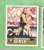 1996 RICHMOND TIGERS AFL SELECT STICKER #183 MICHAEL GALE