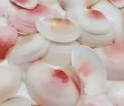Pink Clam Sea Shells, 4 OZ Apprx. 70 PC Shells, 1 Inch ~ 1-7/8 Inch