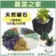 【蔬菜之家】天然礦石 100克 .500克 (紫水晶.黃瑪瑙.紅瑪瑙.綠碧玉.透明琉璃.黑虎眼.黃虎眼.白水晶.東陵玉.青金石)