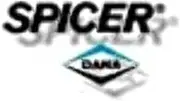 DANA SPICER 10026639 Differential Ring and Pinion Dana