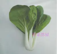 在飛比找Yahoo!奇摩拍賣優惠-【野菜部屋~】F10 松柏奶油白菜種子2公克 , 葉片大 ,