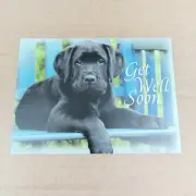 Cute GET WELL SOON Card, Black Lab Puppy Dog by Guiding Eyes For the Blind