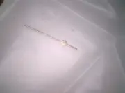 Genuine Timex Sweep Second Hand 027-331204