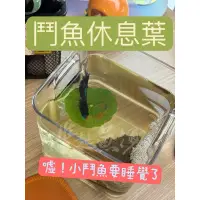 在飛比找蝦皮購物優惠-鬥魚休息葉 鬥魚休息室 柔軟 安全 無味 繁殖 躲藏 鬥魚葉