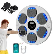 Catzon Bluetooth Music Boxing Machine Wall Mounted with LED for Home-White