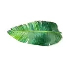Bath Mats for Bathroom Door Mats Area Rug Green Leave Diatom Mud Bath Mat6865