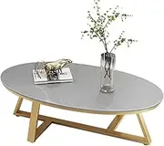 Coffee Table Coffee Table Modern Small Apartment Living Room Home Tea Table Very Simple Oval Coffee Table Center Table for Living Room Furniture(Gris)