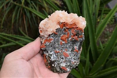 Red Heulandite with Stilbite on Matrix Zeolite Mineral/Crystal/Rock,No Cavansite