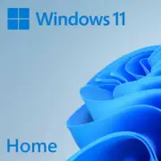 Windows 11 Home OEM DVD