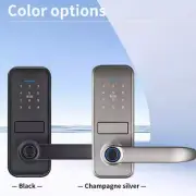 New Fingerprint Wifi Keyless Entry Electronic Smart Door Lock Set With Handle US