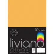 Liviano A4 Colour Card 300gsm Old Gold 10 Pack