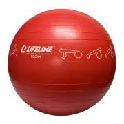 Exercise Ball 55CM
