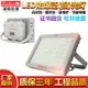 防爆led燈倉庫化工車間投光燈圓型方型防爆照明燈50w150w200w鑄鋁