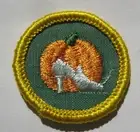 Girl Scout 1963-70 Cadette GOOD GROOMING BADGE Pumpkin Cinderella Slipper Patch