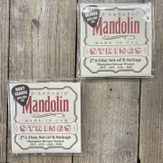 2 Sets of Daddario Mandolin Strings J74 Phosphor Bronze Wound (.011-.040) USA