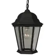Craftmade Outdoor Straight Glass Medium Pendant, Textured Matte Black - Z251-TB