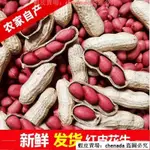 熱銷東北紅皮花生帶殻生花生米批髮新鮮曬幹小粒花生炒熟花生暢享一刻