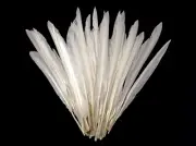1/4 Lb. White Goose Pointers Long Primary Wing Wholesale Feather Costume Supply