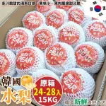 【WANG 蔬果】韓國水梨特大顆24-28入X1箱(15KG/箱_原裝箱)