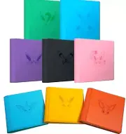 IN STOCK Pokemon TCG Eevee GX Eevee Advanced theme 480 slots Card Sealed Binder