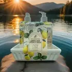BODY PRESCRIPTIONS~DELUXE SET LEMON & BASIL HAND SOAP,LOTION,W/CERAMIC TRAY
