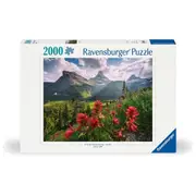 Landscape Puzzle, 2000pc