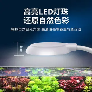 水族箱魚缸夾燈 LED夾燈 USB夾燈 水族燈具 水族照明 【現貨天天出】