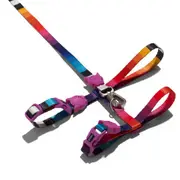Zee Cat Harness And Leash Set Prisma
