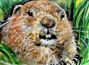 ORIGINAL ACEO Painting GROUNDHOG SPRING Marmot Animal Flower Nature ATC ART