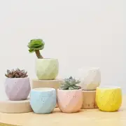 6Pcs Macaron Ceramic Succulent Pots Set - Mini Cactus & Thumb Planters - Vibrant