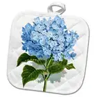 3dRose Blue hydrangea flowers vintage art - floral drawing - summery - flowery s