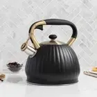 Stainless Steel Tea Kettle for All Kitchen Stove Top/Induction Gas Electric
