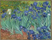 Van Gogh Irises-Vincent Giclee Fine Art Print on Canvas Wall Art 36"