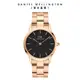 Daniel Wellington 手錶 Iconic Link 36mm/40mm精鋼錶 特調玫瑰金(DW00100210 DW00100344)/ 36mm