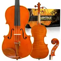 在飛比找蝦皮商城精選優惠-Christina S100A 小提琴歐洲木樂器成人全尺寸小