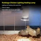 Reptile Heat Lamp Efficient Save Energy Warm UVA UVB Basking Lamp 220V Spare