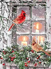 Christmas Cardinal Paint by Numbers Kit for Adults Beginner DIY Winter Painting