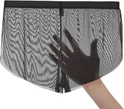 [HASWECHYS] Men’s Sheer Boxer Briefs See Though Micro Mesh Ice Silk Sexy Split Side Bulge Pouch Breathable