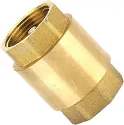Check Valve,Female Thread Spring Check Valve | Female Threaded Anti-Backflow Check Valve for Well, Pump, Tank, Backflow Prevention