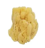 Medium Curio Mix Natural Sponges Bath And Body Arts Crafts Home Decor Sealife