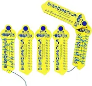 Learning Wrap-ups Fraction Kit with Self Correcting Math Problems