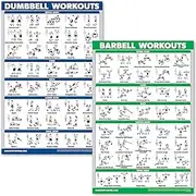 QuickFit Dumbbell Workouts and Barbell Exercise Poster Set - Laminated 2 Chart Set - Dumbbell Exercise Routine & Barbell Workouts