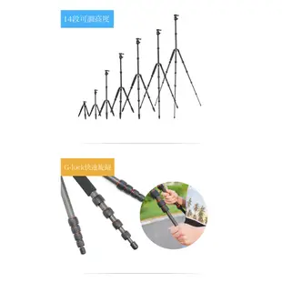[含運.發票] Marsace C15i+ 腳架 旅行用碳纖維反折三腳架套組 相機腳架 (公司貨)