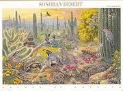 Postage Stamp US Scott 3293 Sonoran Desert Full Sheet of Ten 33 Cent Stamps by USPS